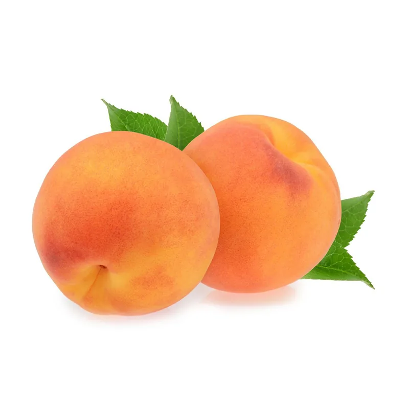 Pêche