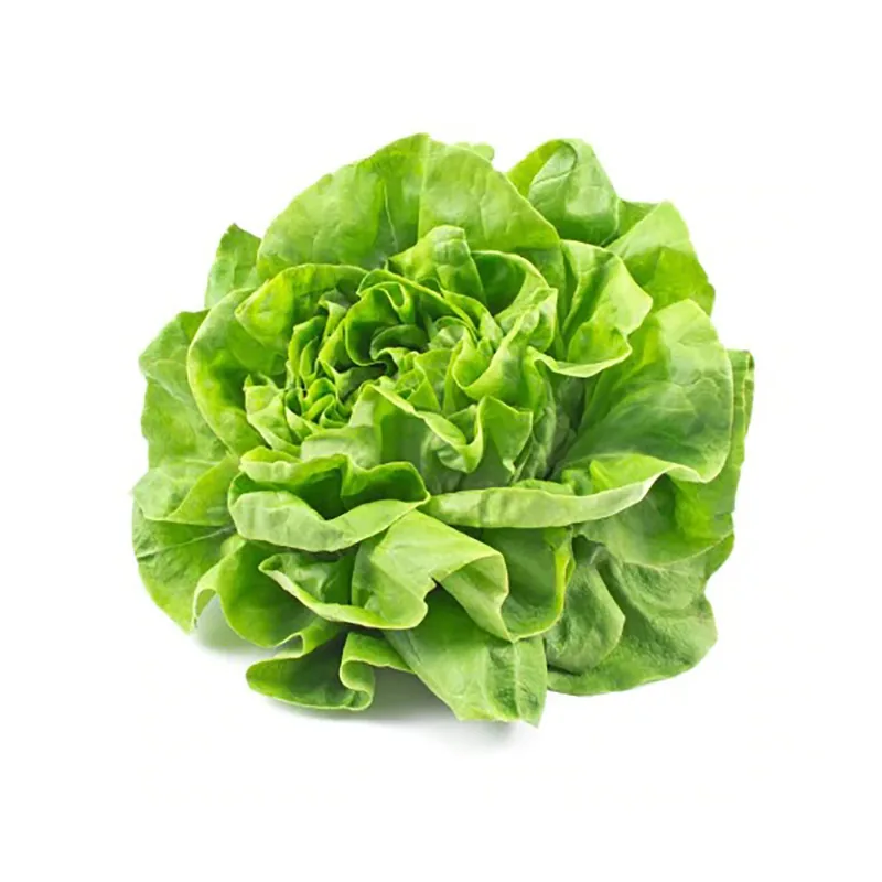 Salade