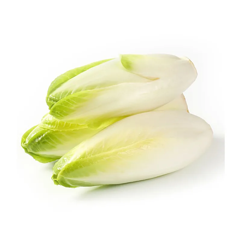 Endive