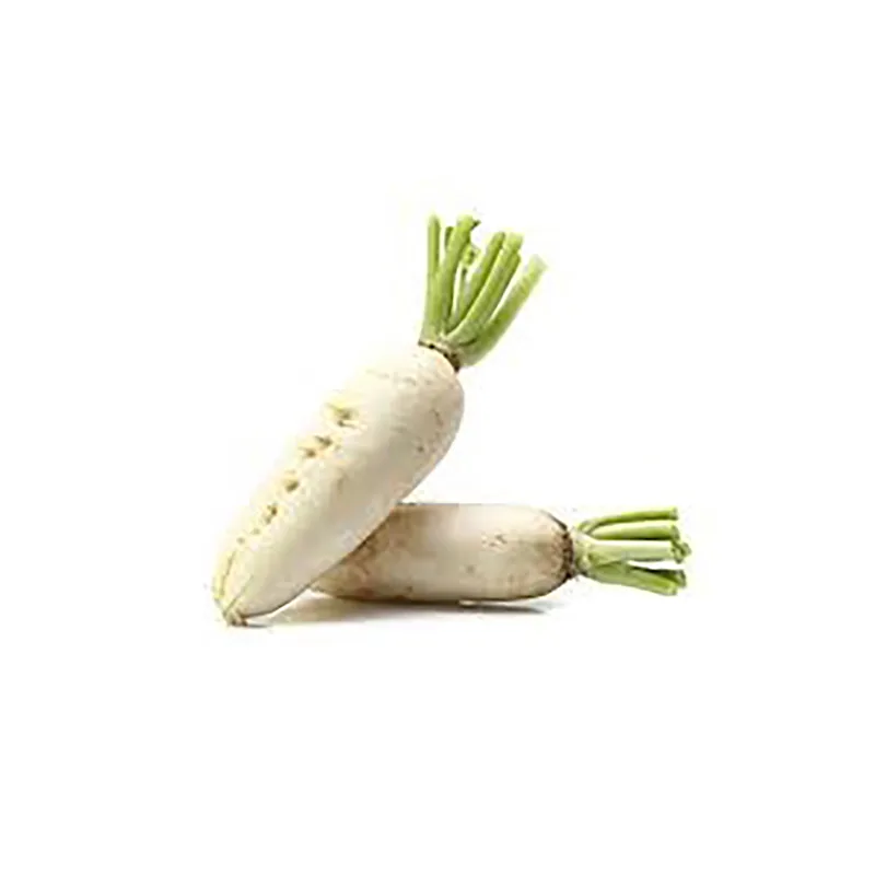 Navet blanc